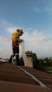 Beekeeper on top of chimney
